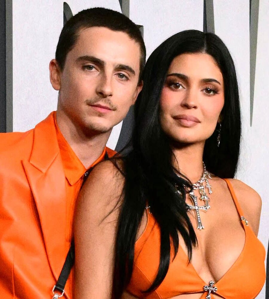 timothée chalamet orange